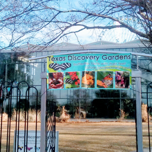 Texas Discovery Gardens logo