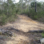 The Oaks Cycleway down to Campfire Creek car park (145854)