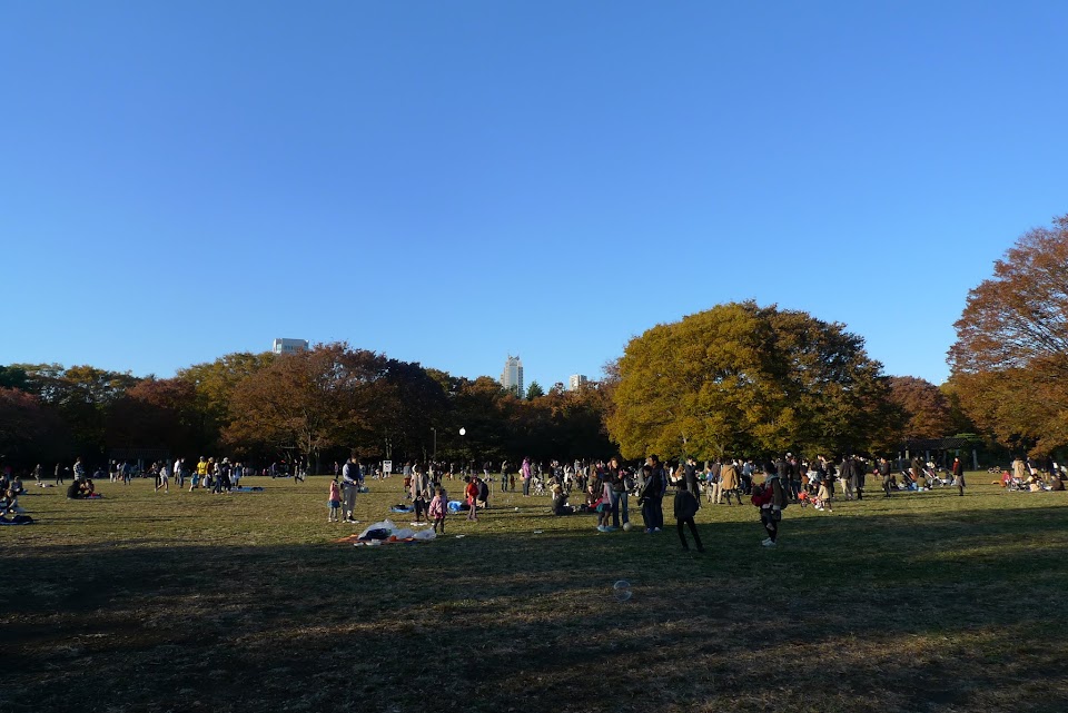tokyo parc yoyogi