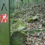 Well signposted GNW track in Palm Grove Nature Reserve (370279)