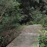 Bridge over the creek (147603)