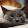 Black Wolf Black Wolf's profile photo