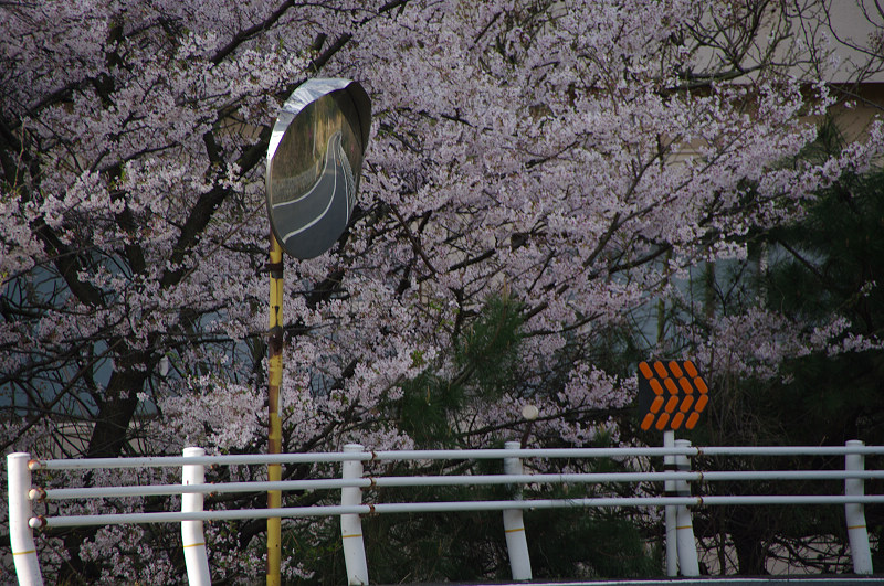 日本行