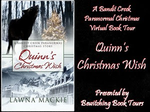 Bewitching Book Tours Banner
