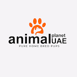 Animal Planet | Dogs & Puppies For Sale In UAE