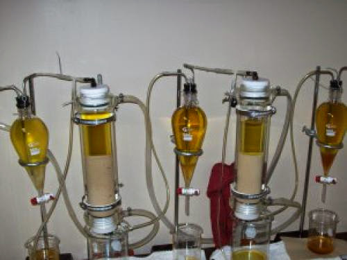 Highlights Of Enzymatic Biodiesel Processing