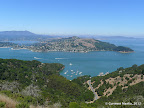 Tiburon peninsula visible from North Ridge Trail