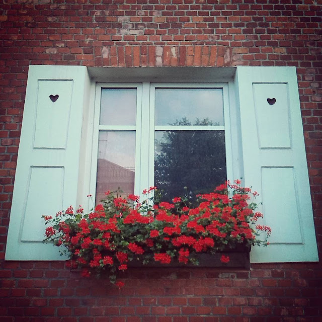 Окно калининградское