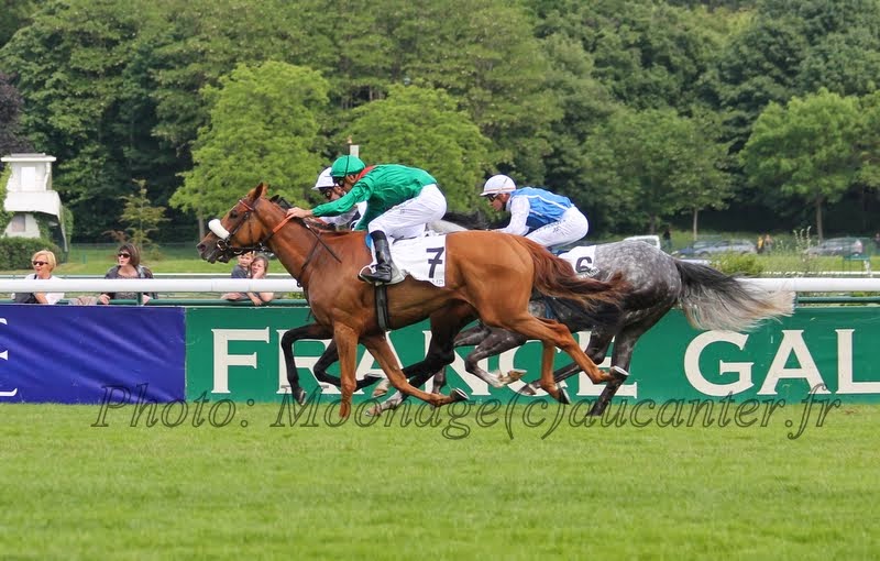 Photos Longchamp 25-05-2014 IMG_1444