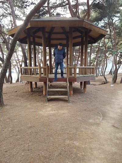 Photos of 솔밭공원