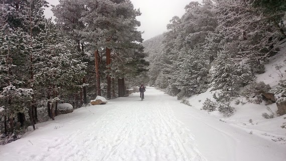 Ruta de Cercedilla a Madrid por el valle del Lozoya ¡con nieve! - sábado 31 de enero 2015. Nuestro 'gran reto' de enero