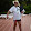 Dimitar UzunovFAN Dimitar UzunovFAN's profile photo