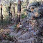 Steps around the boulders (203515)