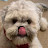 Paul Anderson avatar image
