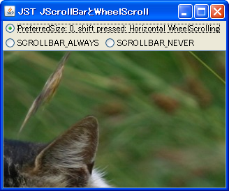 MouseWheelScroll.png