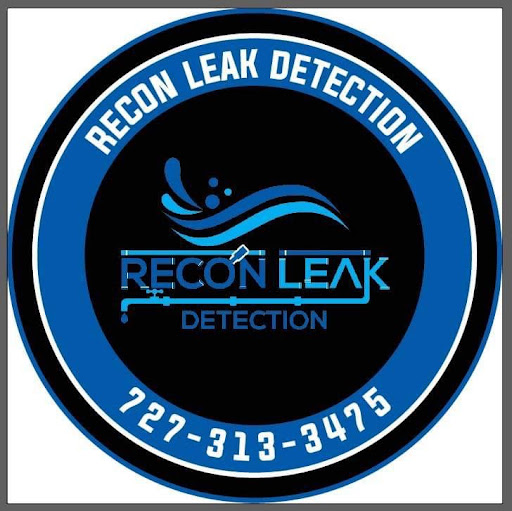 Recon Leak detection