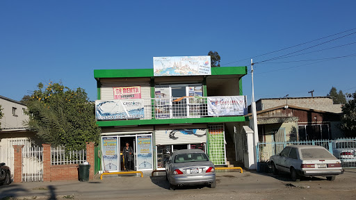 Agencia de viajes otay, Alfonso vidal 9A Roberto De La Madrid, Otay, 22435 Tijuana, B.C., México, Servicios de viajes | BC