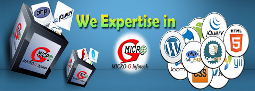 Micro-G Infotech, Gali No 5 Shiwaji Colony, Tonk, Niwai, Rajasthan 304021, India, Website_Designer, state RJ