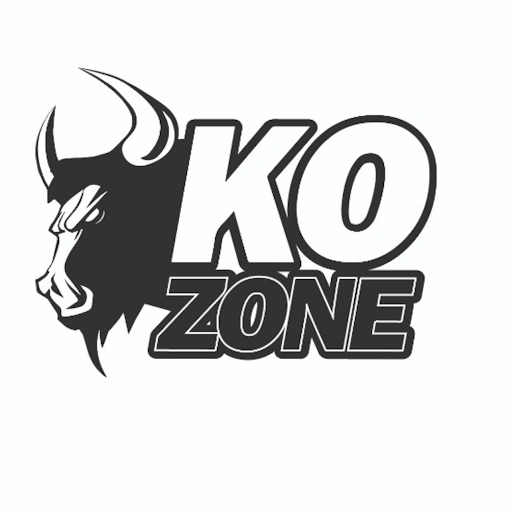 KO ZONE logo