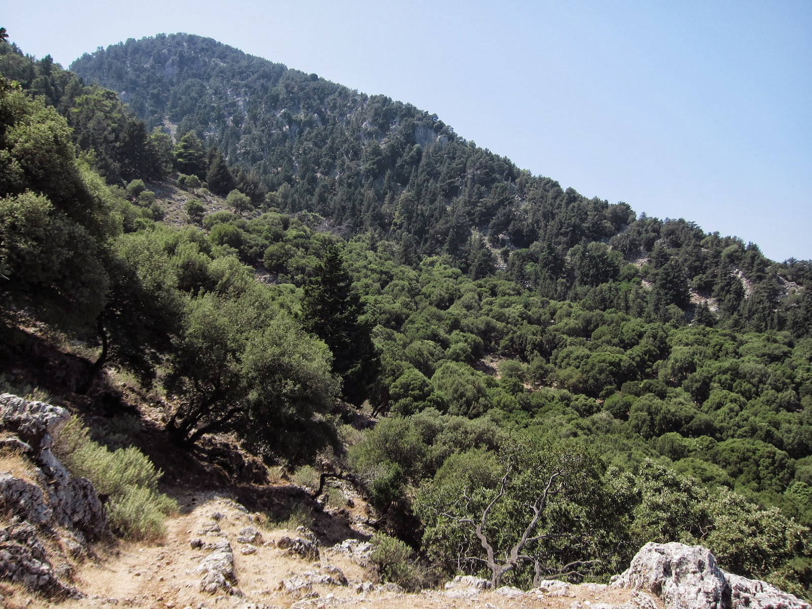 Εικόνα