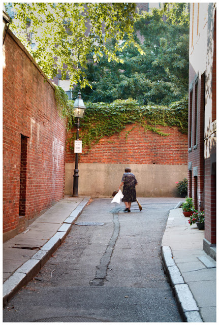 3200 Km de Costa Este - Blogs de USA - Boston (7)