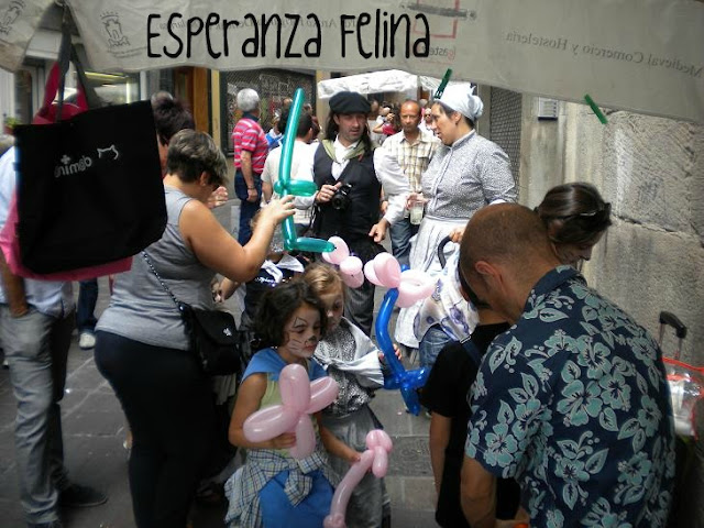 Esperanza Felina en "El Mercado de La Almendra" en Vitoria - Página 9 DSCN5401