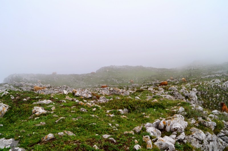 Sierra del Monsacro (Morcín) - Descubriendo Asturias (14)