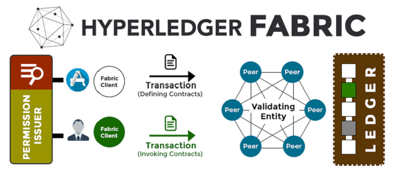 Một ứng dụng trên Hyperledger Fabric sẽ trông như thế nào ?