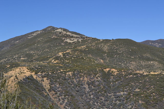 Monte Arido Road climbing the south face of Old Man Mountain
