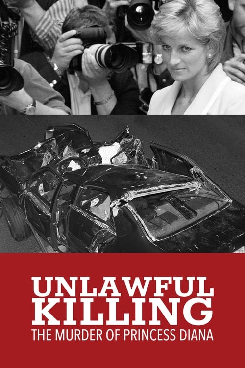 Unlawful Killing (2011) movie poster