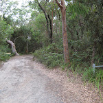Road into Stewart and Lloyds campground