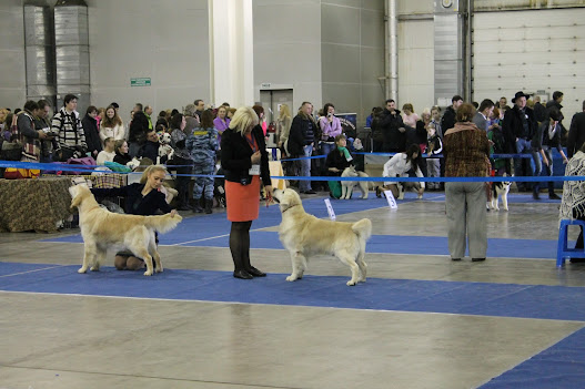 IMG_0786.JPG