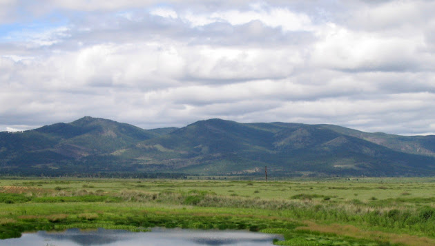Cover photo