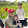 adi salvatrucha adi salvatrucha's profile photo