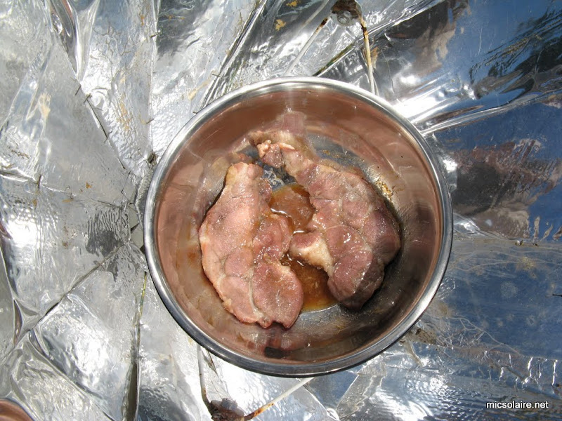 Sarcives solaires ou pork char-siu IMG_0004-1