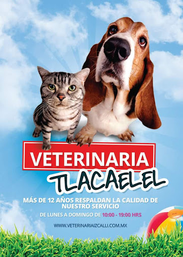 Atencion Integral Veterinaria Izcalli, Los Reyes Mz7 Lt3, Santa Rosa De Lima, 54740 Cuautitlán Izcalli, Méx., México, Servicio de embarque de mascotas | EDOMEX