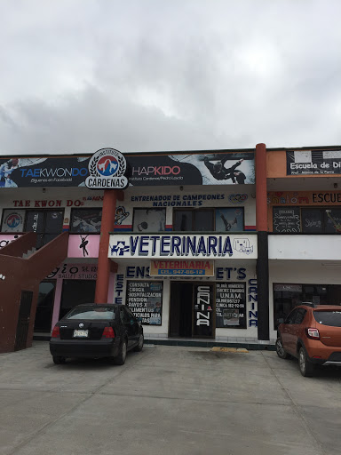 Ensenada Pets Clínica Veterinaria, Av Dr Pedro Loyola 379, Fraccionamiento Acapulco, 22890 Ensenada, B.C., México, Cuidados veterinarios | BC