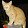 Tutus Bob Tutus Bob's profile photo