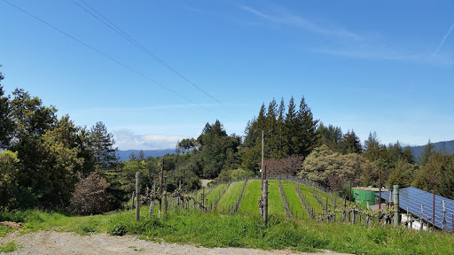 Vineyard «Byington Vineyard & Winery», reviews and photos, 21850 Bear Creek Rd, Los Gatos, CA 95033, USA