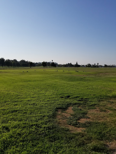 Golf Club «Buchanan Fields Golf Course», reviews and photos, 1091 Concord Ave, Concord, CA 94520, USA