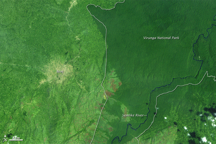 La selva del Congo sufre los efectos de la sequía