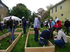 Community Garden Community Garden