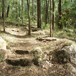 The track on the north side of the ridge in Palm Grove NR (369853)