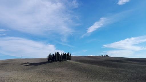 Cipressi di San Quirico d'Orcia