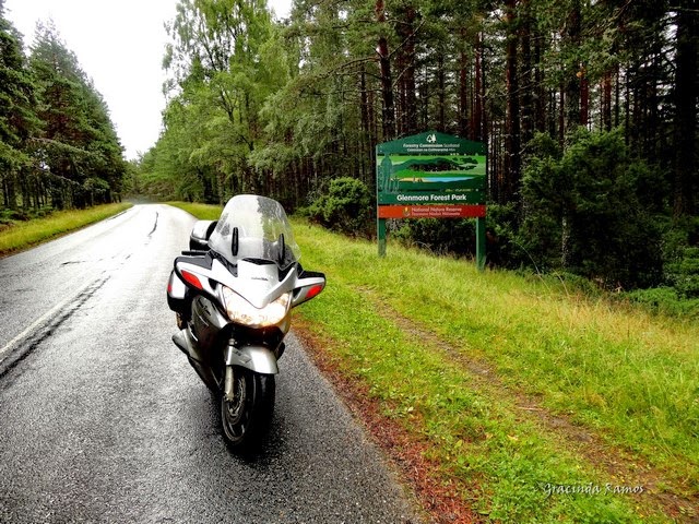 passeando - Passeando por caminhos Celtas - 2014 - Página 6 20%2B%288%29