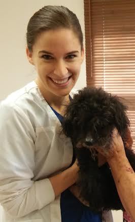 Veterinarian «Herndon Veterinary Clinic», reviews and photos