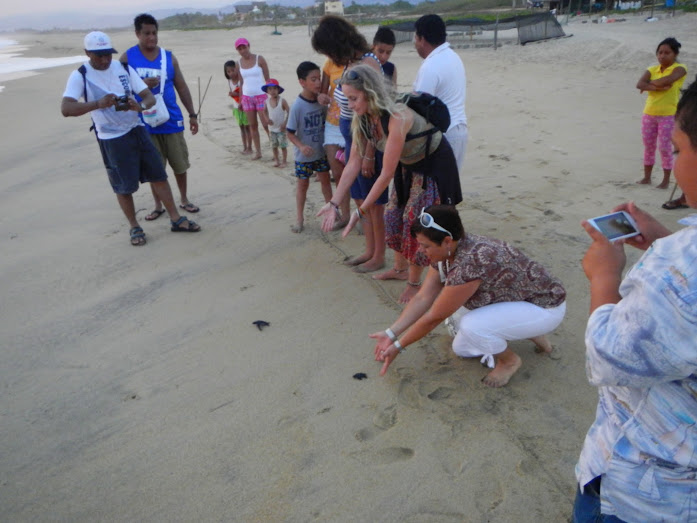 Turtle release, Playa Delfin