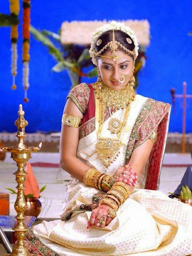 Bhanu Sri Mehra Photos