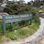 Start of Snow Gums Boardwalk (96853)
