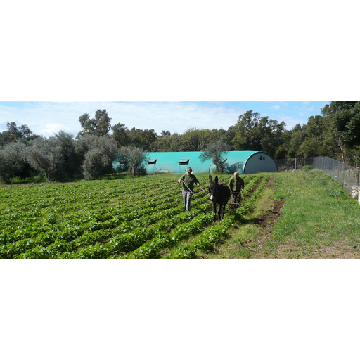La Ferme d'Alzetta